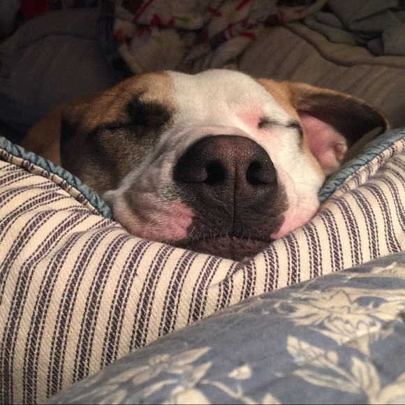 Meet your Posher, Margaret - Picture 1 of 1